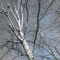 User 222520120