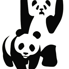 Alfa Panda