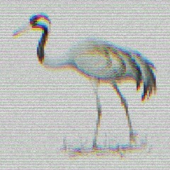 ツルネCrane
