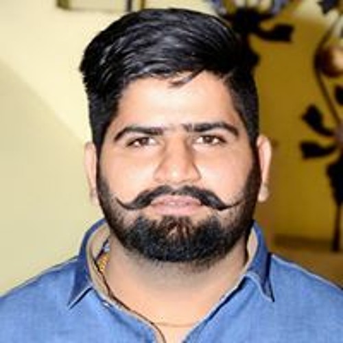 Satish Kalra’s avatar