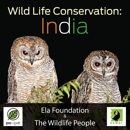 Wild Life Conservation: India Podcast’s avatar