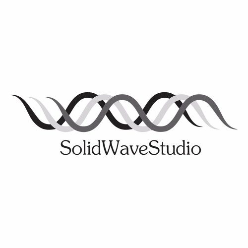 [Solid Wave Studio]’s avatar