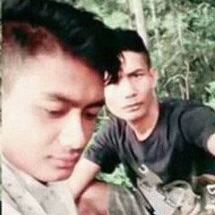Doni1993
