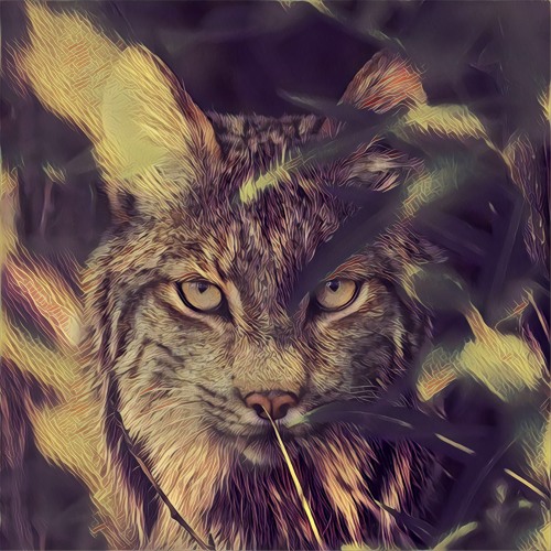 Lynx’s avatar