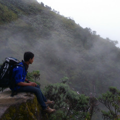 Adde Irianto
