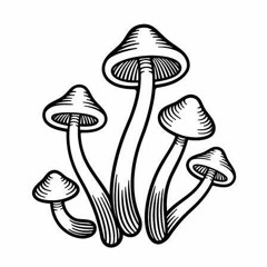 SSSostanza-SospettaSSS