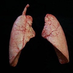 Doctor Lung