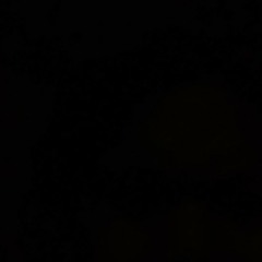 teharikisabrina@gmail.com