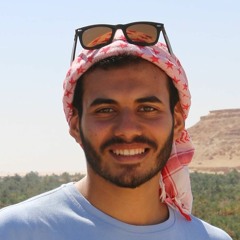 Mohamed Elnidany