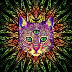 PsyKat