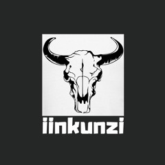 IINKUNZI