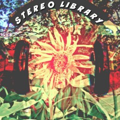 Stereo Library