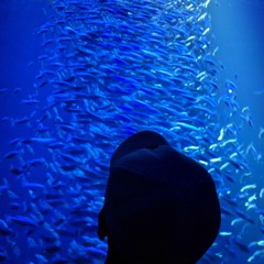 the Oceanographer