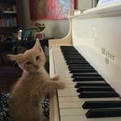 debussyh