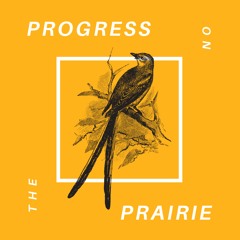 Progress On The Prairie