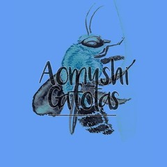 Aomushi Gafotas