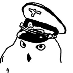 SS Colonel Owl