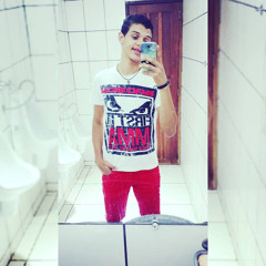 gabriel zeri marques