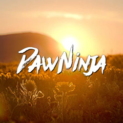 DawNinja