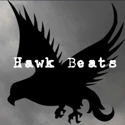 Hawk Beats’s avatar