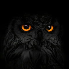 TechniQoul Gaming Point