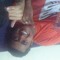 Henrique vulture