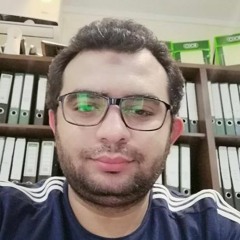 Mohamed Salah Eldien