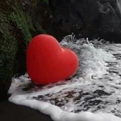 ام عاصم ابراهيم