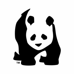 PandaStudios