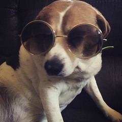 The Farmhouse Sessions