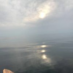 Elizabeth Hall Bruce