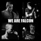 We Are Falcon