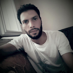 ayman mustafa