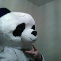 panda boy