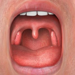 THROAT 喉嚨