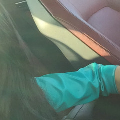 Karolina Buimistrova