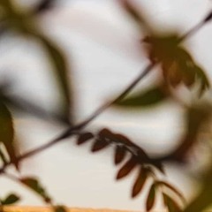 phdto5