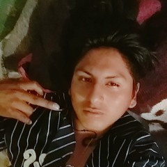 chamo parche