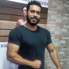 hossam el sherbiny