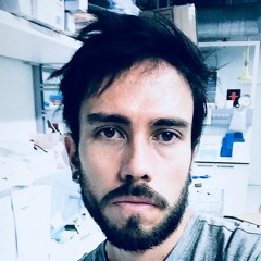 Felipe Verdugo