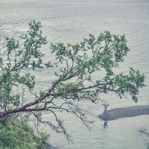 Stream ALOMON music Listen to songs, albums, playlists for free on