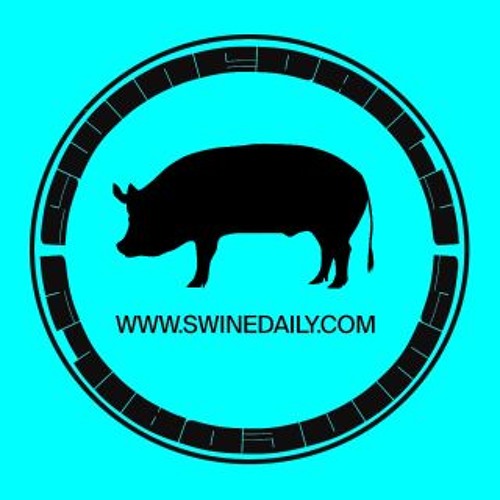 Swine Daily’s avatar