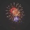 leon_23701