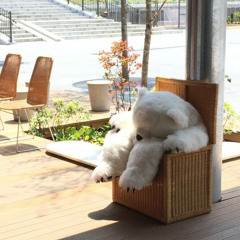 水野ジャン（ジャン）