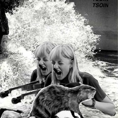 TSOIN-TSOIN