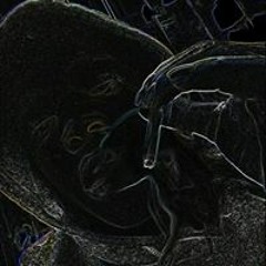 Marquis Tate