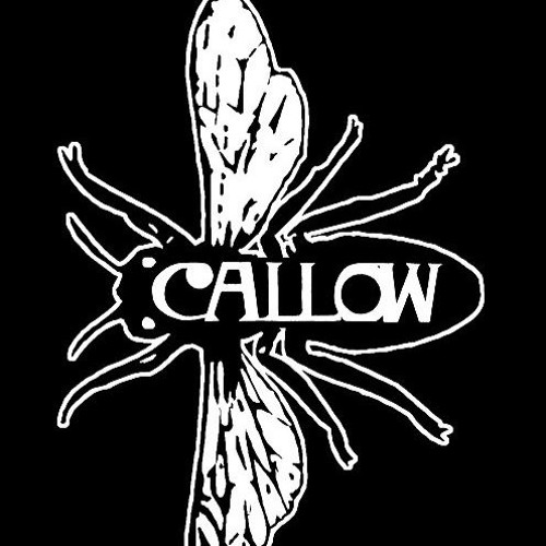 Callow’s avatar