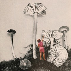 Claustrophobic Mushroom