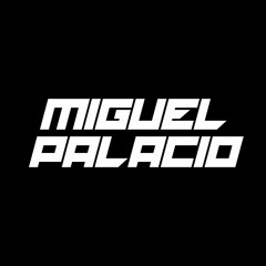 Miguel palacio