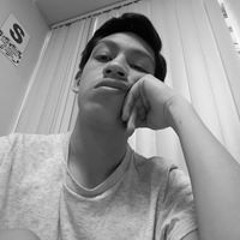 Fabricio Zans Silva